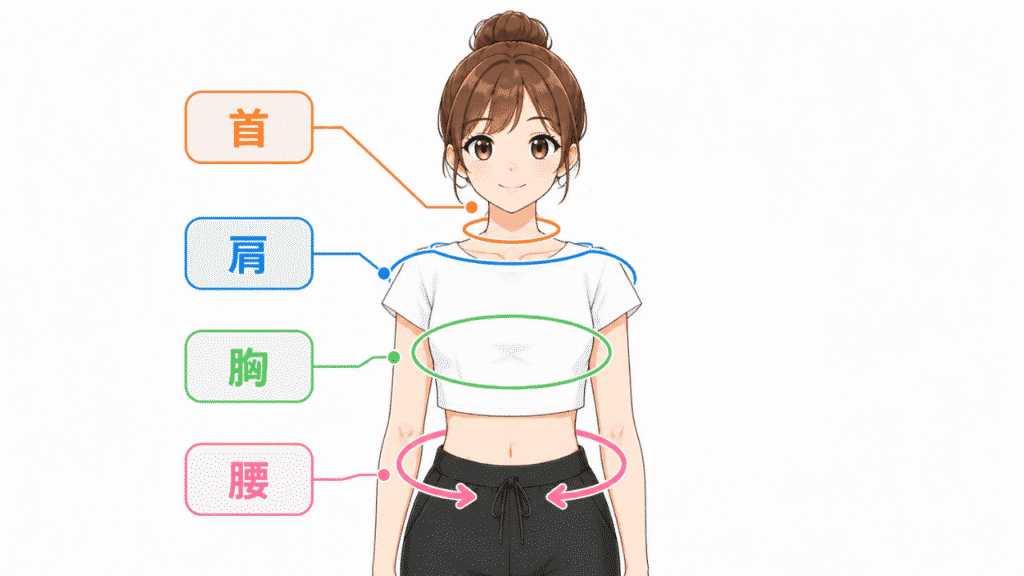 各部位のアイソレーション