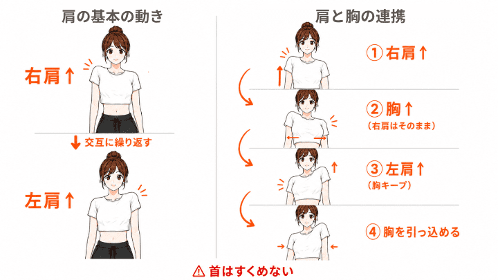 肩のアイソレ