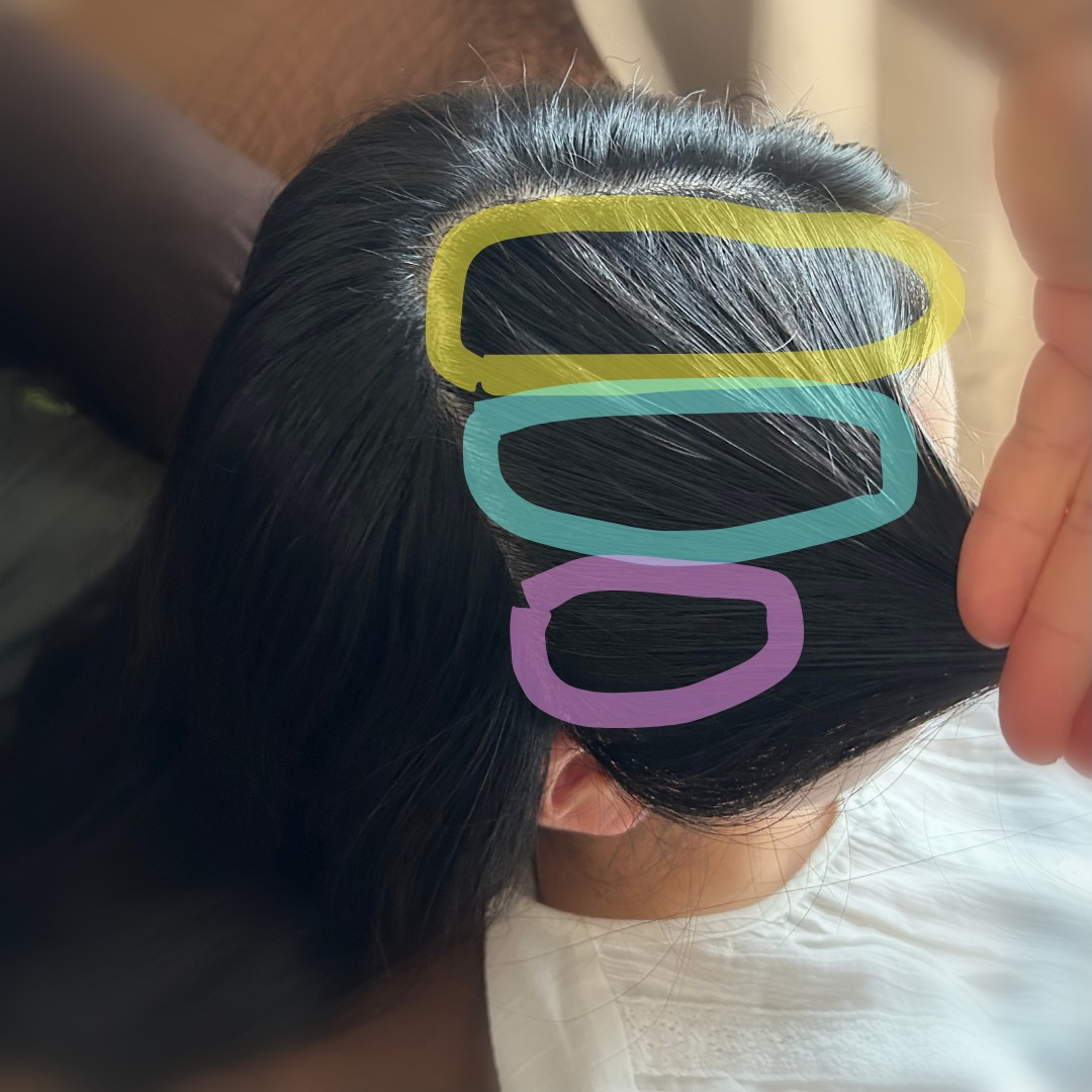 ゴム編み込みの毛束の分け方。3つのブロックを色で囲んで示した図